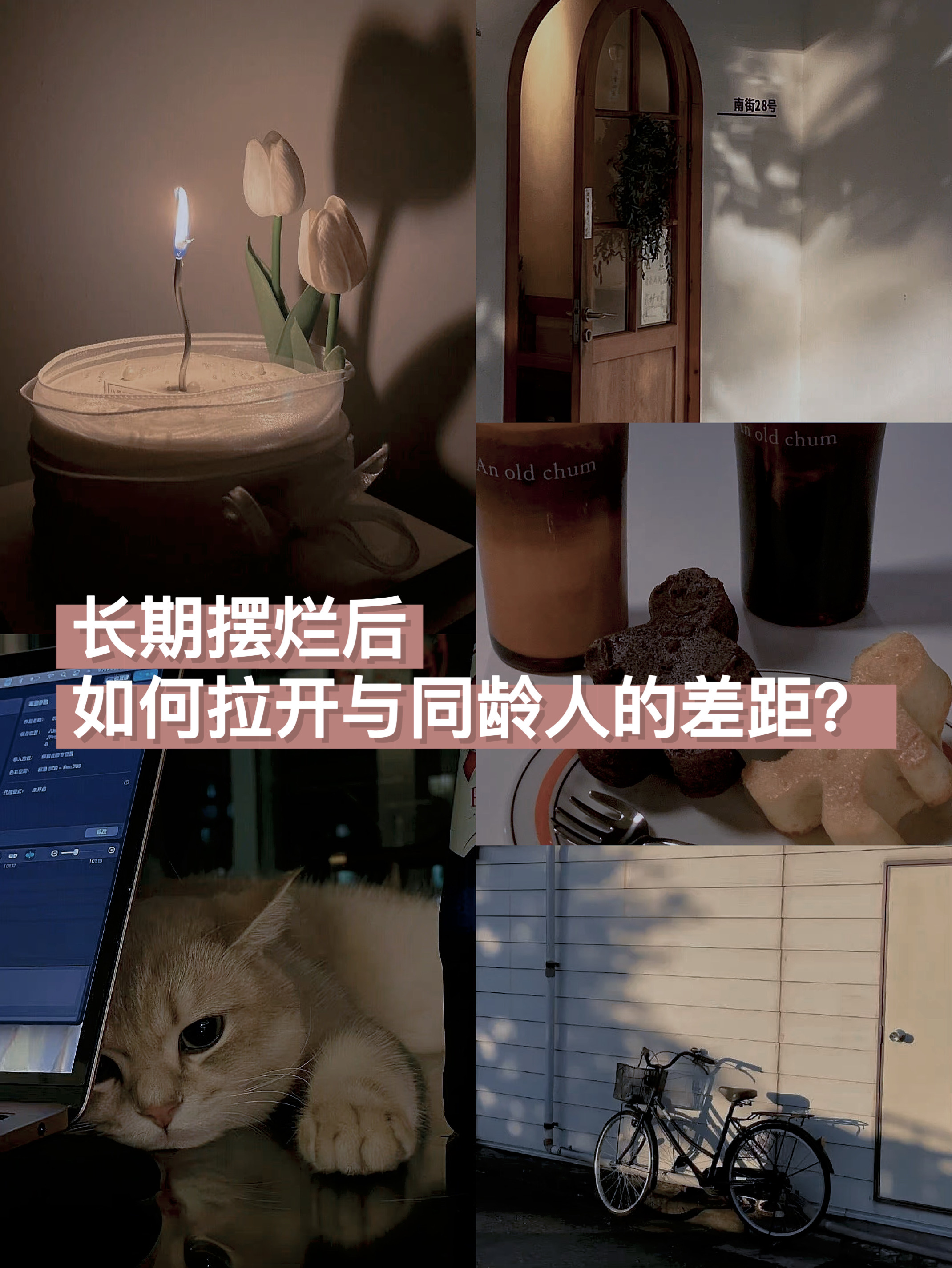 激烈较量决胜负，每个狙击手都执行得井井有条的简单介绍