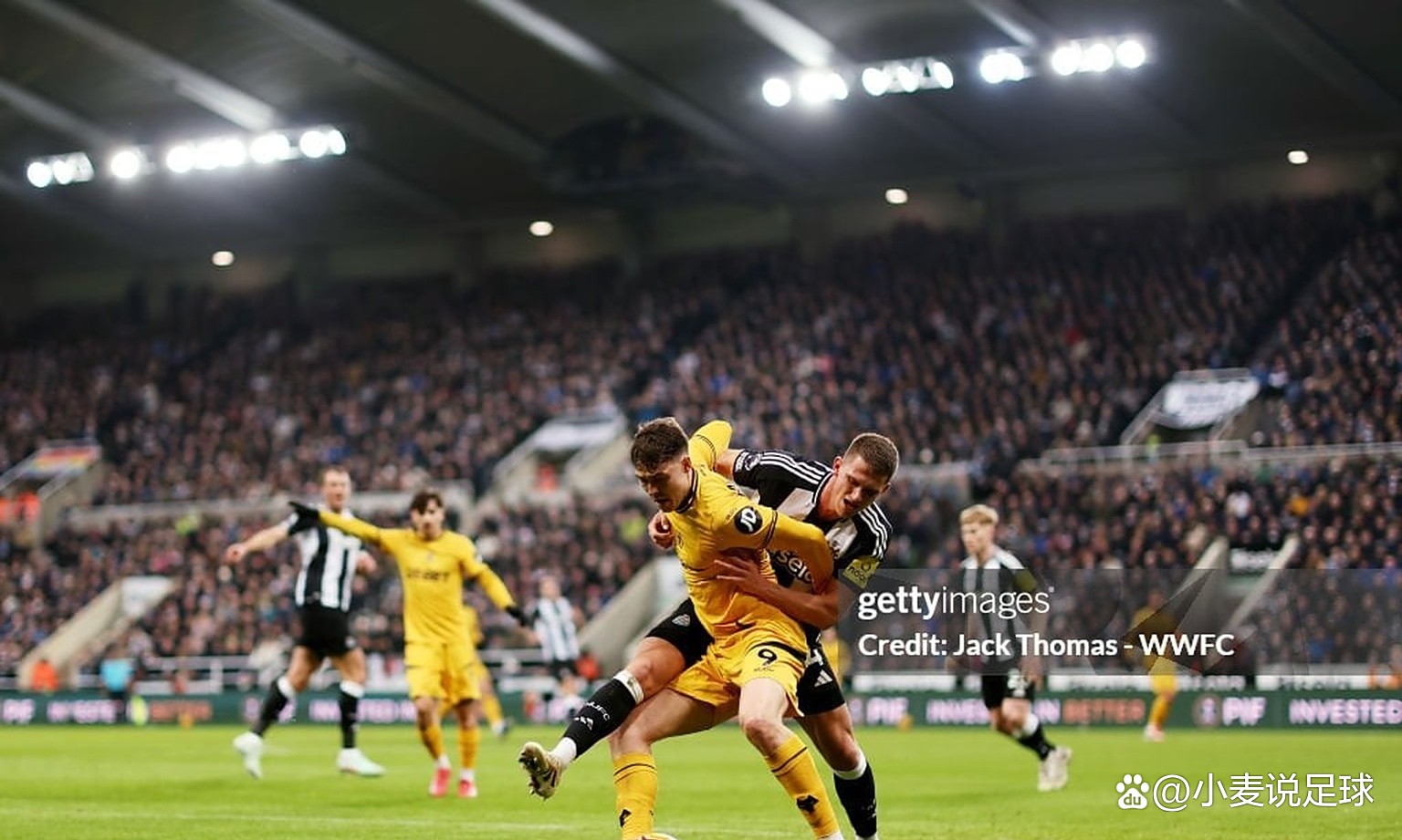 狼队一路保级，英超席位不再岌岌可危的简单介绍