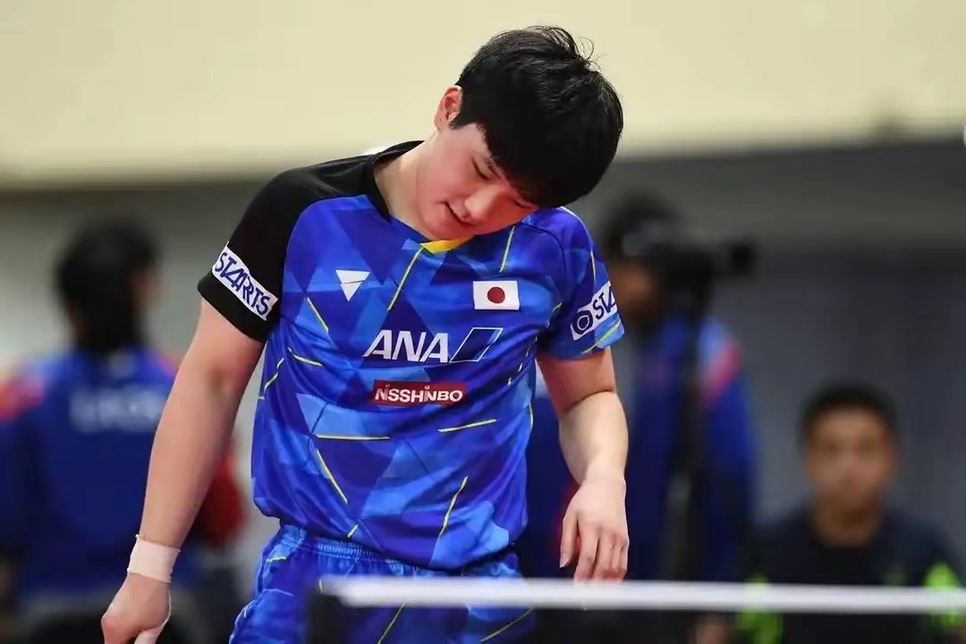 奥地利乒乓球队爆冷德国乒乓球队，张本智和送出助攻的简单介绍