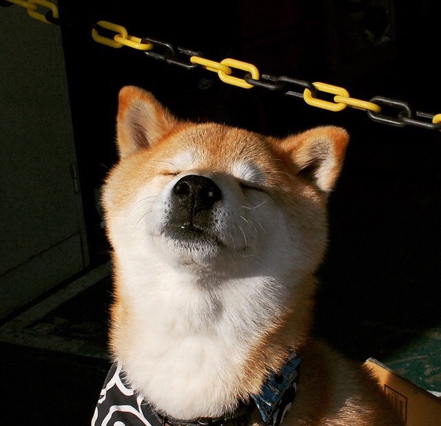 世俱杯决赛-绝杀马刺的戈贝尔，骑士最锋利的矛与最沉默的盾