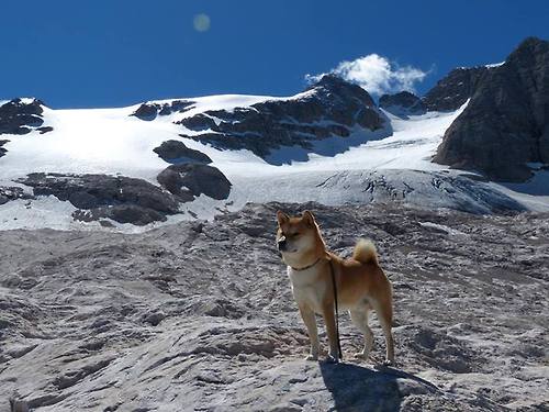 世俱杯赛程-铁闸与奇迹，门迪一夫当关，西班牙豪门冷拒药厂狂潮