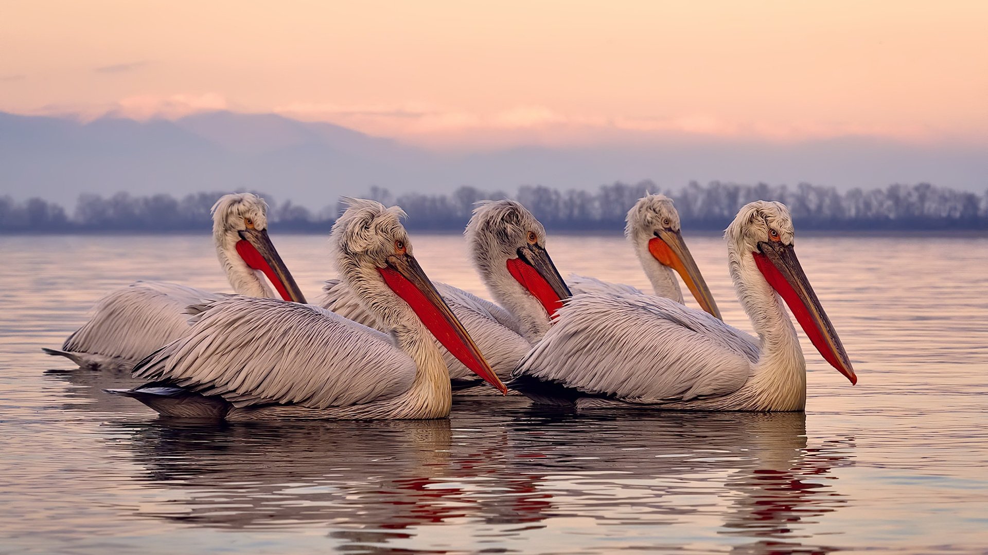 世俱杯赛程-浙江队爆冷淘汰雄鹿，贝恩世界排名战独挑大梁