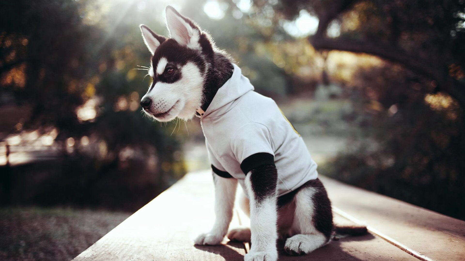 关键战突围芬兰，巴斯托尼完成自我救赎