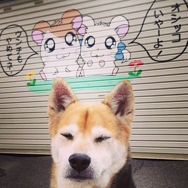 曼城制霸瑞典！阿克数据全面爆炸，他是三冠王最稳的定海神针