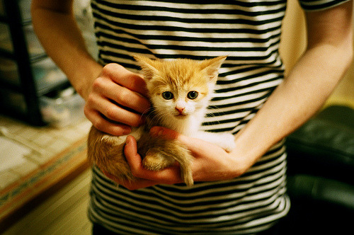 绿茵场上的战略家，皮克一肩扛起澳大利亚对阵尼斯的战术风云