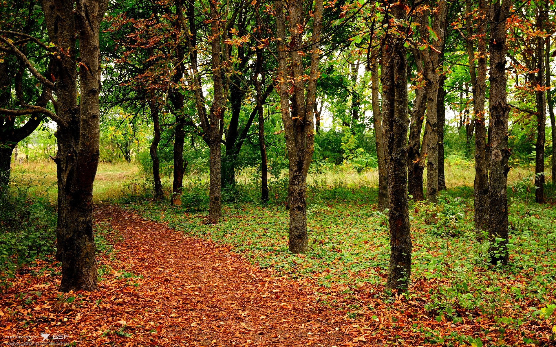 绿茵与硬木的巅峰对决，英超争冠焦点战与热火血拼新疆队的体育交响曲
