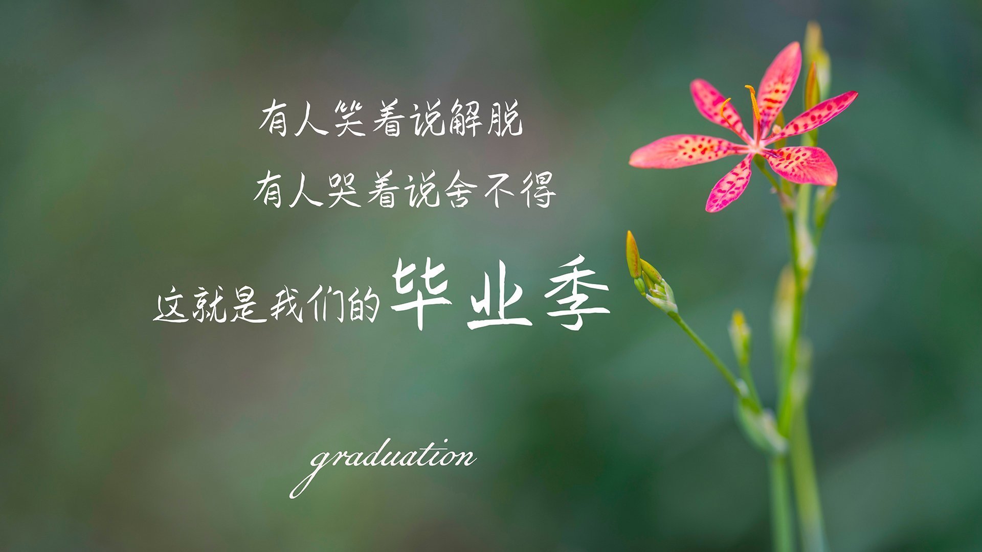 世俱杯直播-关键战夜，莫兰特用满分表现书写奥运门票