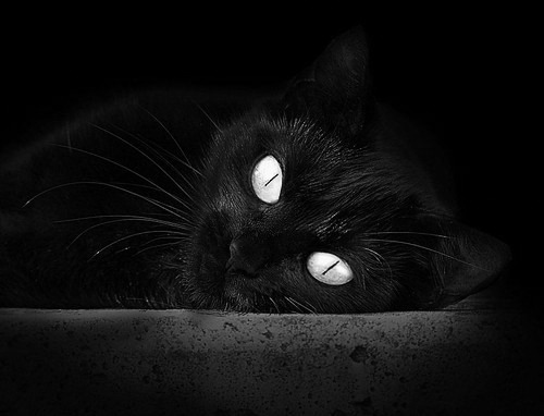 世俱杯奖金-超越国界的魔法，当德布劳内降临挪威与南非之役