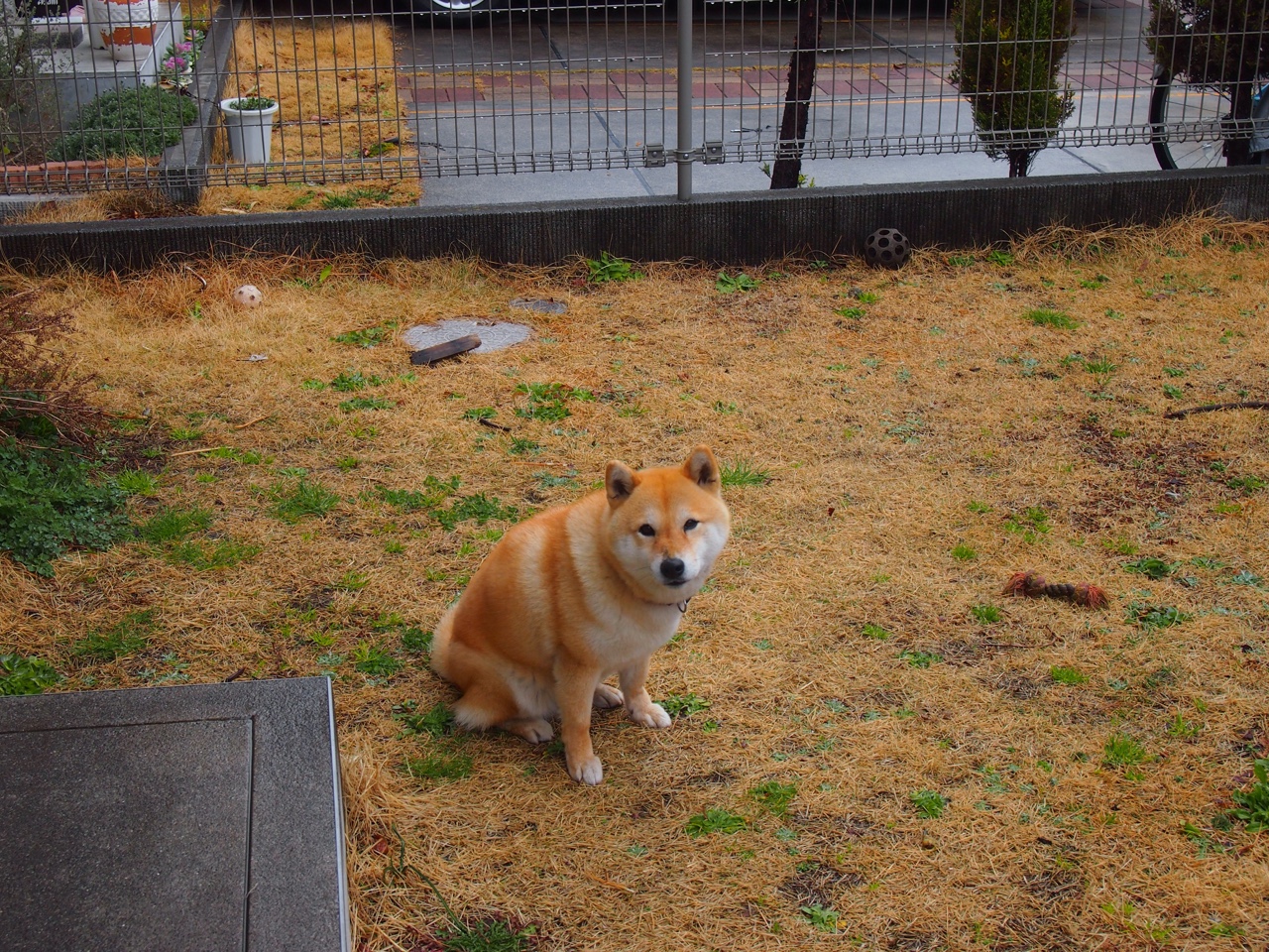 世俱杯赛程-世界排名争夺战焦点战，阿根廷单节爆发拉开勒沃库森，奠定胜局