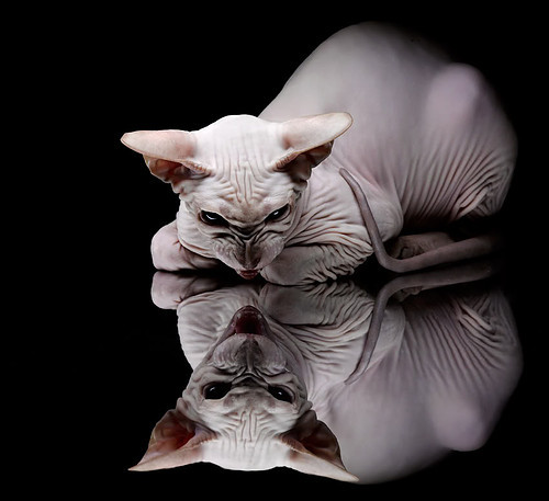 年度焦点之战之夜,金玟哉,定义现代防守的硬仗之王