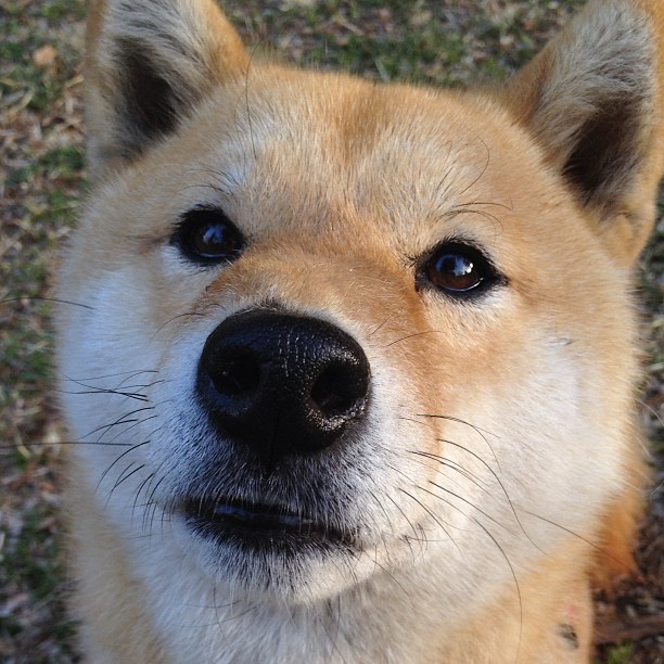 基米希独中两元助德国大胜,日本队力克中国晋级下一轮