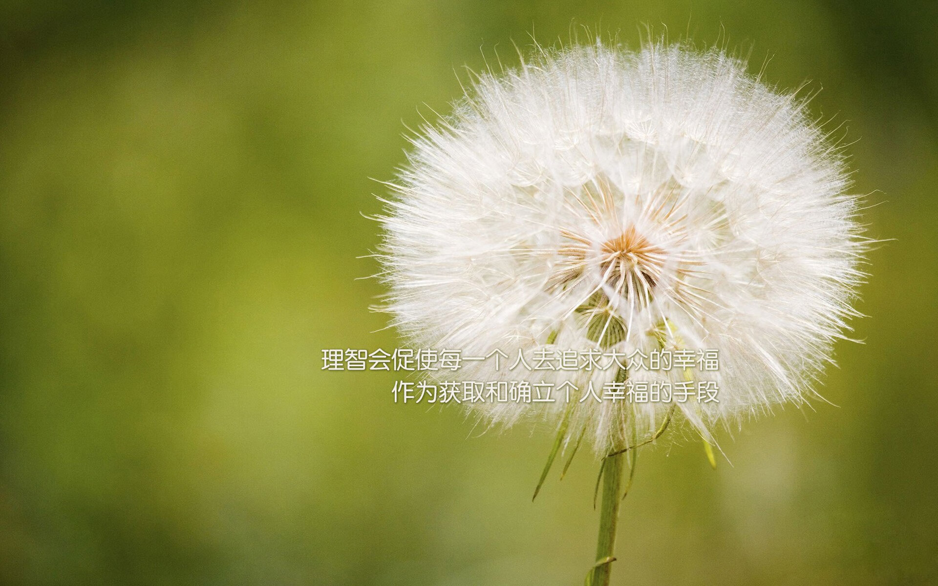 末节暴风，当凯尔特人在欧冠淘汰赛的绝境中带走国王